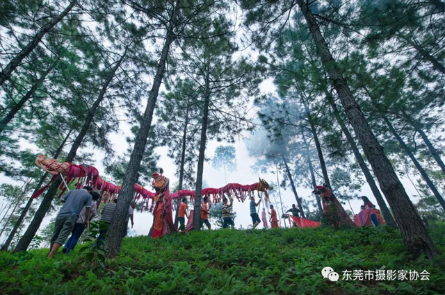 微信图片_20191102112411.png