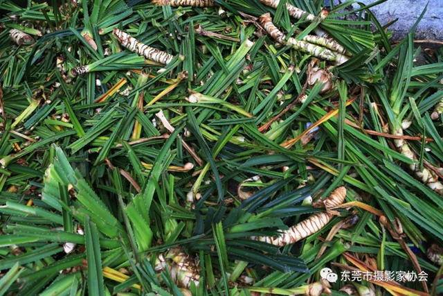 微信图片_20191102112335.png
