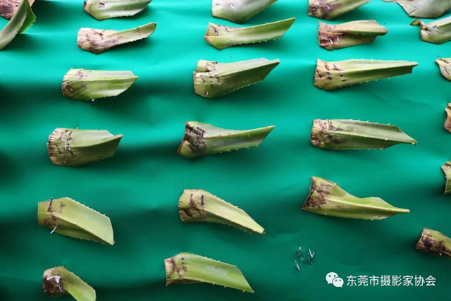 微信图片_20191102112338.png