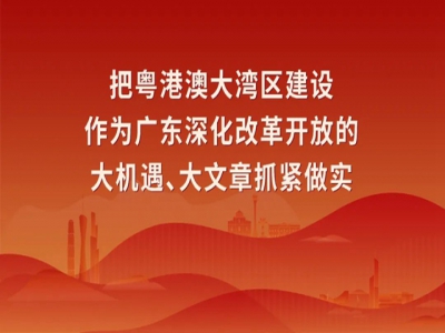 “学习宣传贯彻习近平总书记视察广东重要讲话、重要指示精神”主题宣传画3