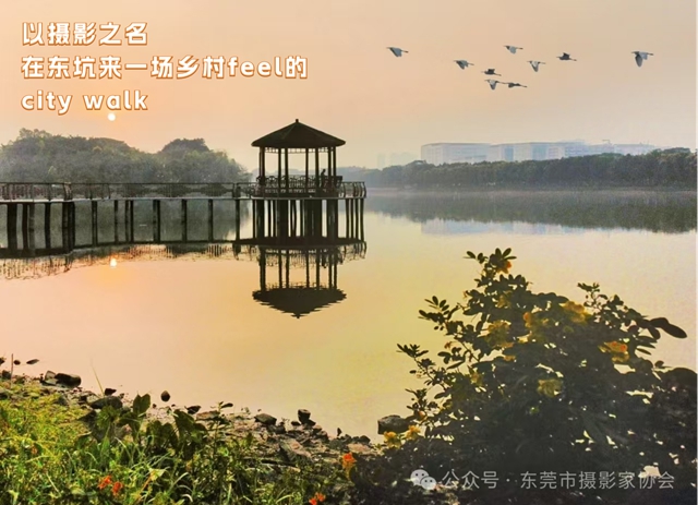 微信图片_20241226112527.jpg