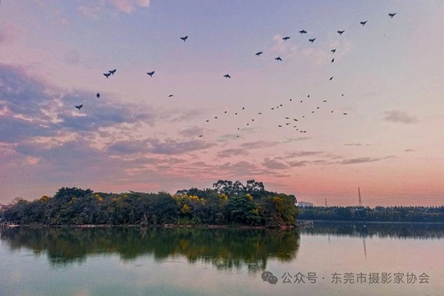 微信图片_20241226112551.jpg