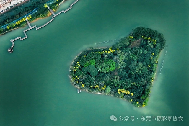 微信图片_20241226112608.jpg