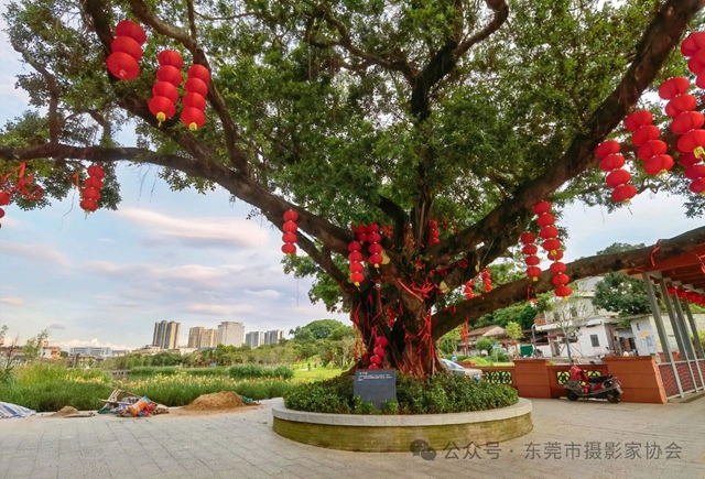 微信图片_20241226112701.jpg