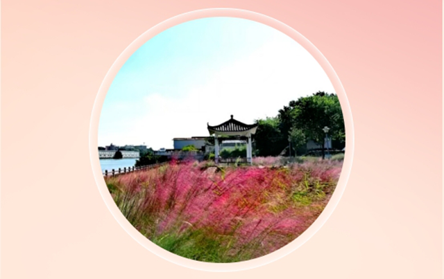 微信截图_20250210101250.png