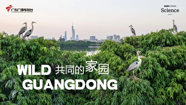 微信图片_20250325104120.jpg