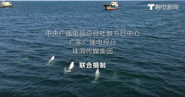 微信图片_20250325104126.png