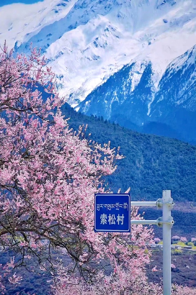 微信图片_20250422165451.jpg