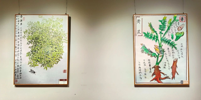 微信图片_20250524151023.jpg