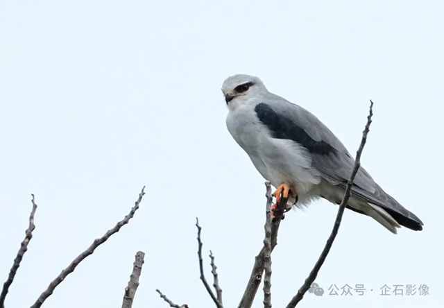 微信图片_20250607173841.jpg