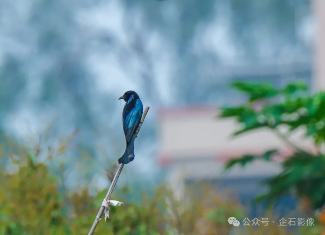 微信图片_20250607173844.jpg